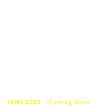 20 PIECES