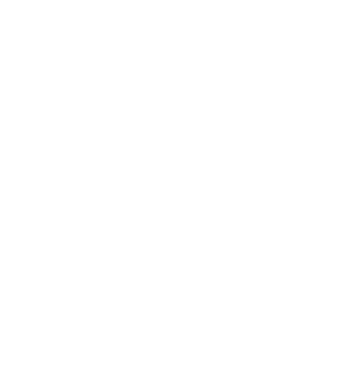 22 PIECES